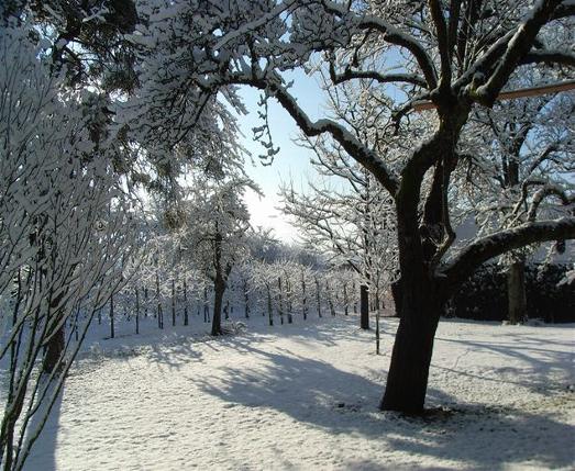 2011_Winter
